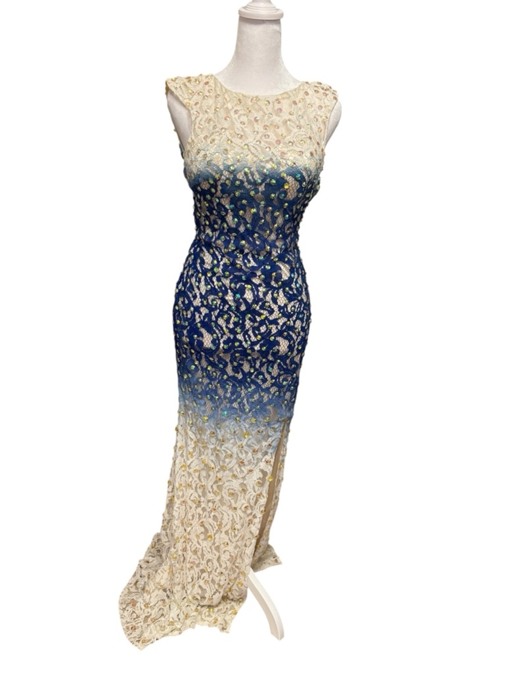 Stunning Rare Vintage Vienna Ombre Lace Gown – Size 0